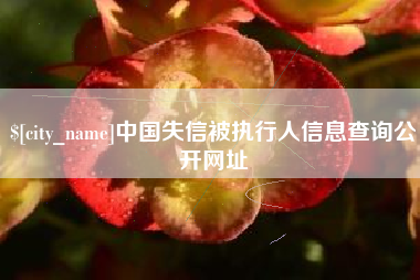 定边中国失信被执行人信息查询公开网址