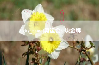 定边奥运会39块金牌