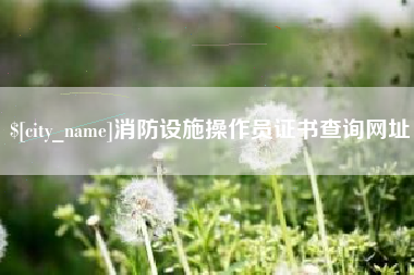 定边消防设施操作员证书查询网址