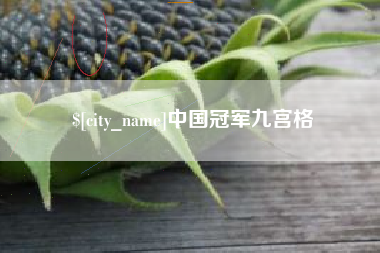 定边中国冠军九宫格