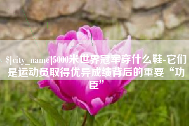 定边5000米世界冠军穿什么鞋-它们是运动员取得优异成绩背后的重要“功臣”