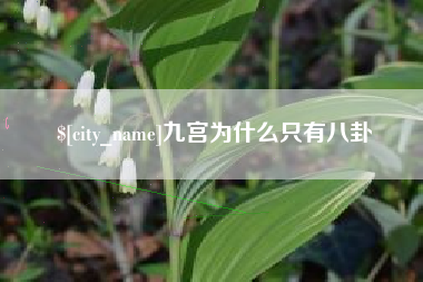 定边九宫为什么只有八卦