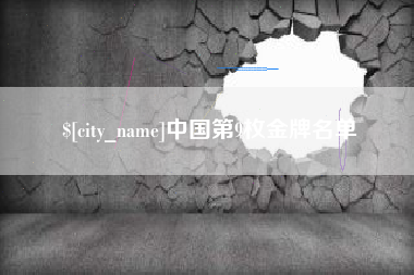 定边中国第9枚金牌名单
