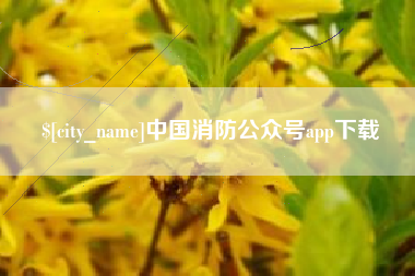 定边中国消防公众号app下载