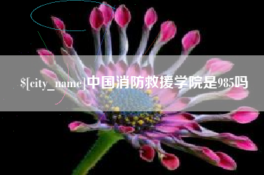 定边中国消防救援学院是985吗