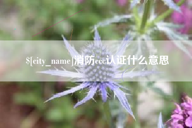 定边消防ccc认证什么意思