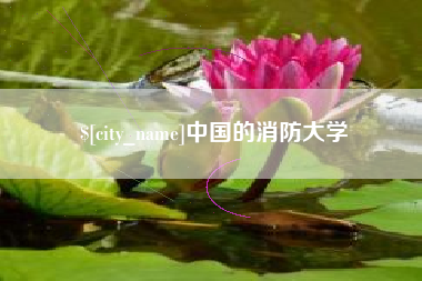 定边中国的消防大学