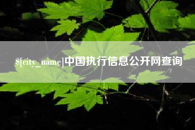 定边中国执行信息公开网查询