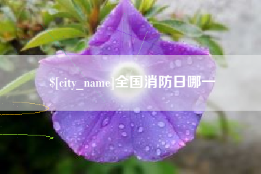 定边全国消防日哪一