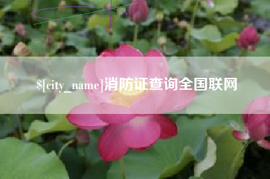 定边消防证查询全国联网