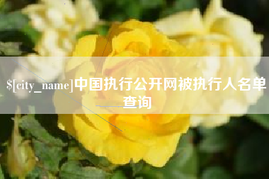 定边中国执行公开网被执行人名单查询