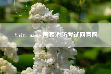 定边国家消防考试网官网