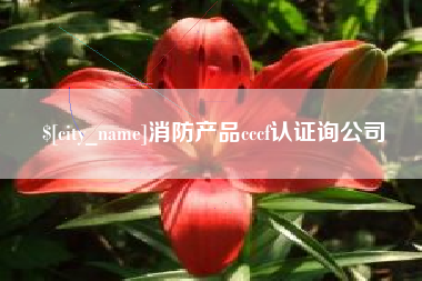 定边消防产品cccf认证询公司