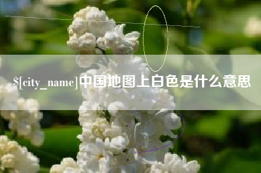 定边中国地图上白色是什么意思