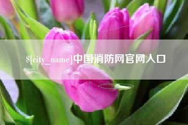 定边中国消防网官网入口