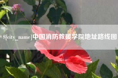 定边中国消防救援学院地址路线图