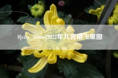定边2022年九宫格飞星图