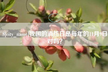 定边我国的消防日是每年的11月9日对吗？