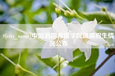 定边中国消防救援学院湖南招生情况公布