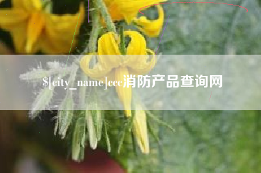 定边ccc消防产品查询网