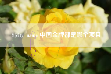 定边中国金牌都是哪个项目