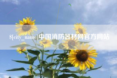 定边中国消防器材网官方网站