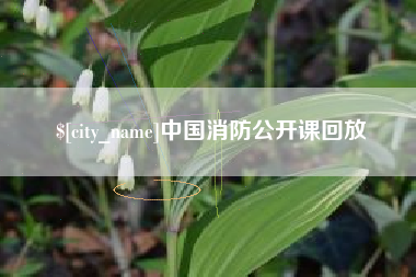 定边中国消防公开课回放