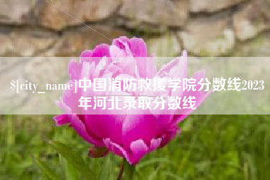 定边中国消防救援学院分数线2023年河北录取分数线