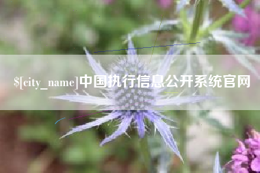 定边中国执行信息公开系统官网
