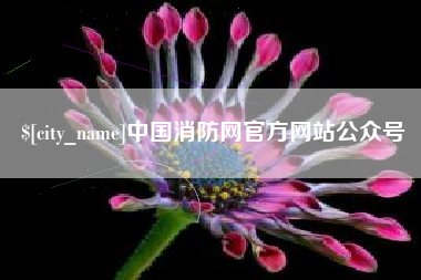 定边中国消防网官方网站公众号