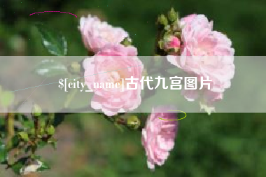 定边古代九宫图片