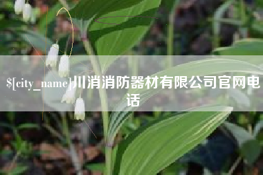 定边川消消防器材有限公司官网电话