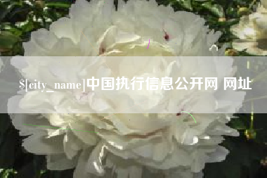 定边中国执行信息公开网 网址