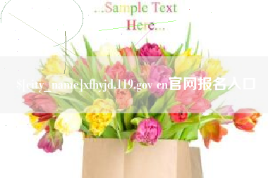 定边xfhyjd.119.gov cn官网报名入口
