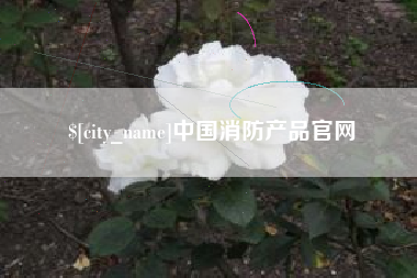 定边中国消防产品官网