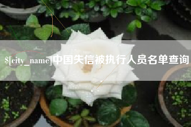 定边中国失信被执行人员名单查询