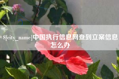定边中国执行信息网查到立案信息怎么办