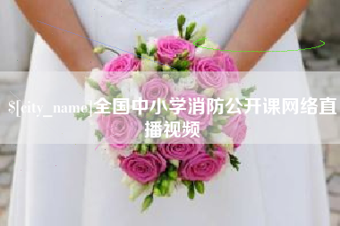 定边全国中小学消防公开课网络直播视频