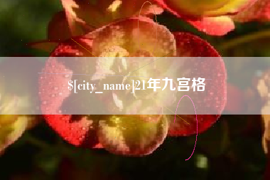 定边21年九宫格