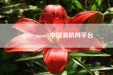 定边中国消防网平台