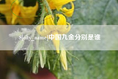 定边中国九金分别是谁