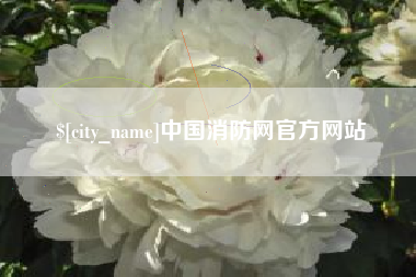 定边中国消防网官方网站