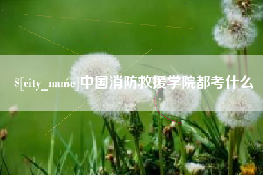 定边中国消防救援学院都考什么