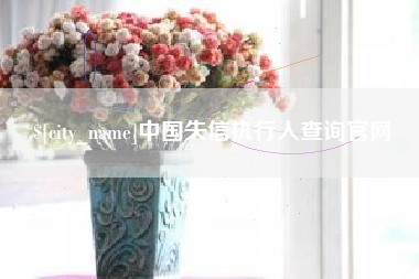 定边中国失信执行人查询官网