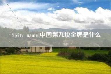 定边中国第九块金牌是什么
