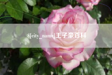 定边王子豪百科