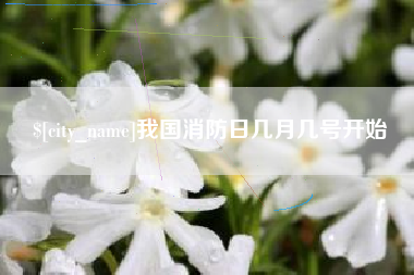 定边我国消防日几月几号开始