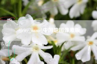 定边中国地图像素版