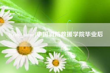 定边中国消防救援学院毕业后