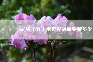 定边男子五千米世界冠军奖金多少